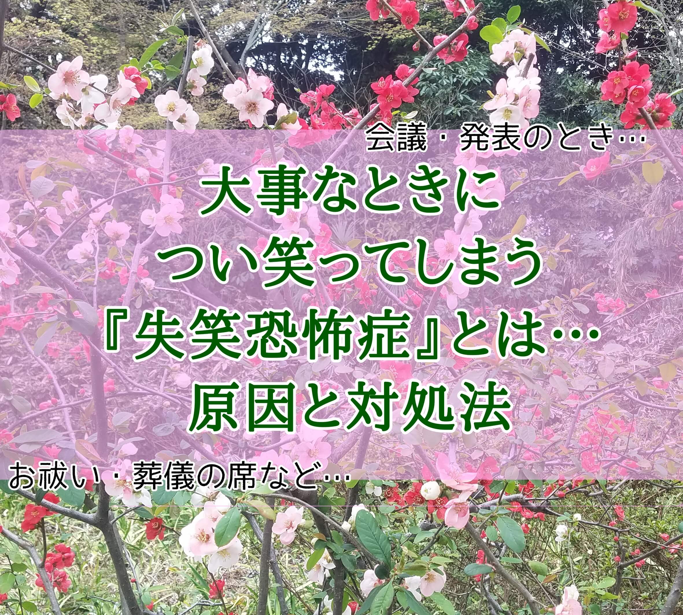 つい笑ってしまう もしかして 失笑恐怖症 真剣な場面で笑ってしまう原因と対策について ゆうブログ