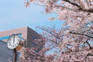 ランチタイムイメージ